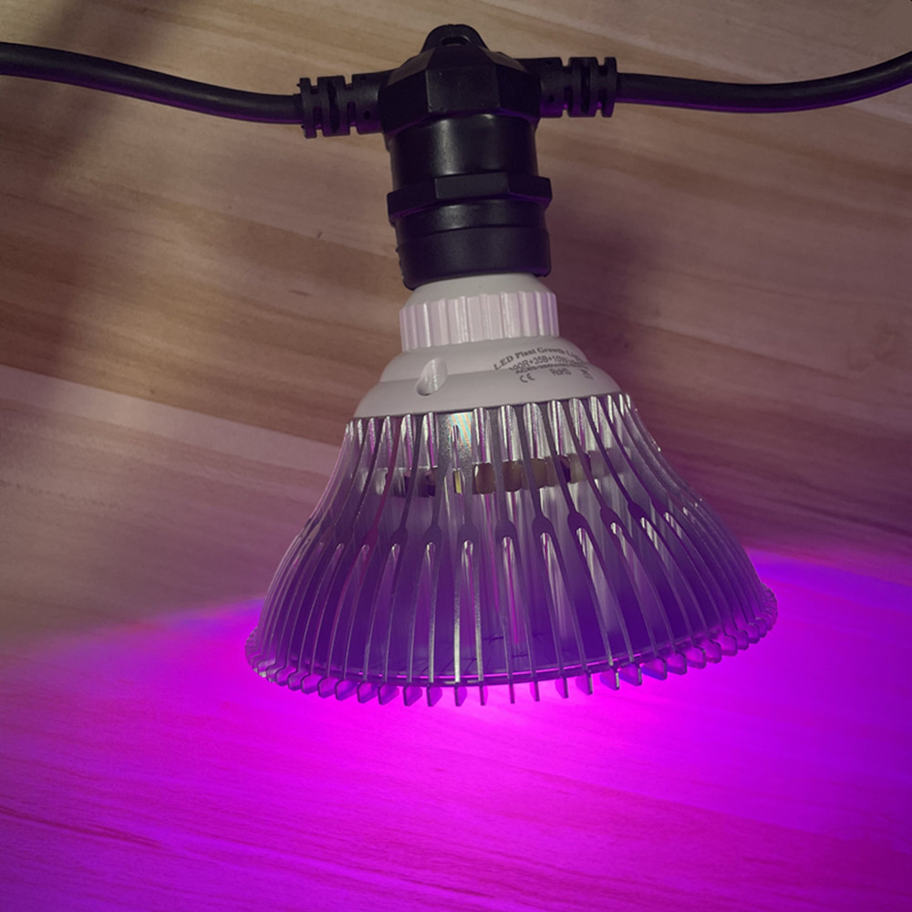 10 メートルケーブル LED ストリング商用グレード防水  - Waterproof Led Strip のレビューと価格